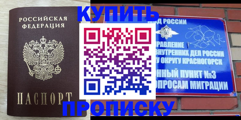 прописка гарантия в Грозном